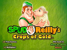 Spud O’ Reilly’s Crops Of Gold